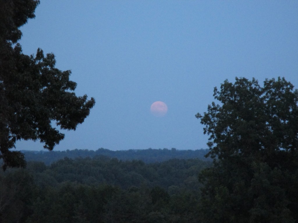 Harvest Moon Rise 9-19-13 7:04 pm CDT - Copyright (c) 2013 Robert D. Vickers, Jr.