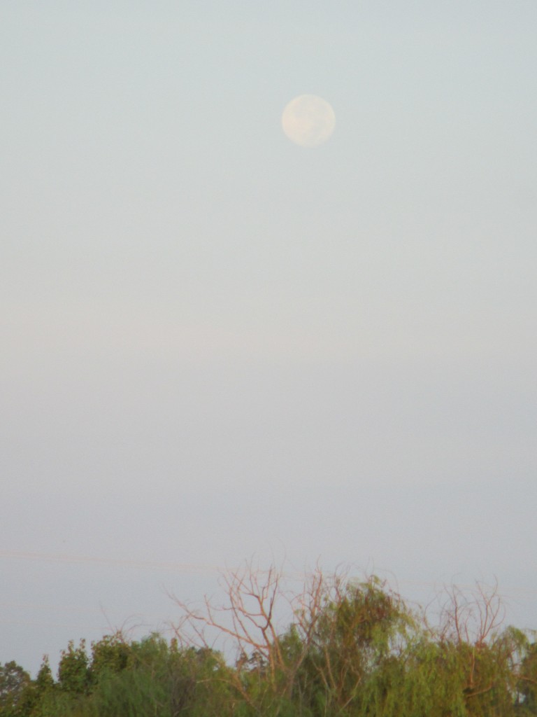 Harvest Moon Set 9-20-13 7:12 am CDT - Copyright (c) 2013 Robert D. Vickers, Jr.