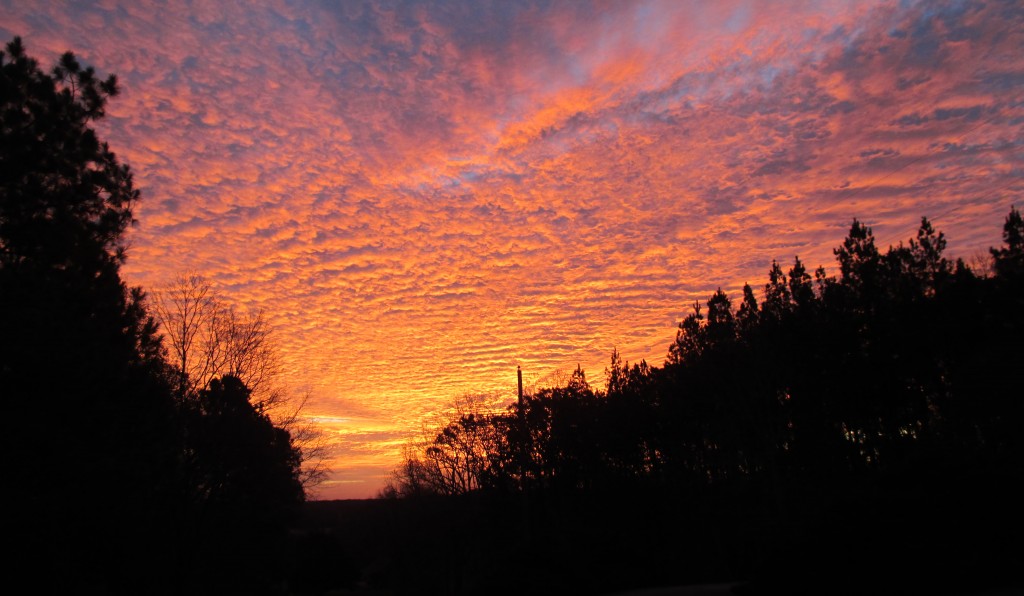 Sunrise November 19, 2013 - Copyright 2013 Robert D. Vickers, Jr.