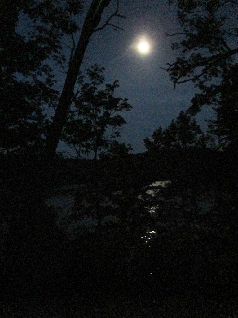 Moonrise over Pennyrile Lake, Ky - Copyright (c) 2014 Robert D. Vickers, Jr.