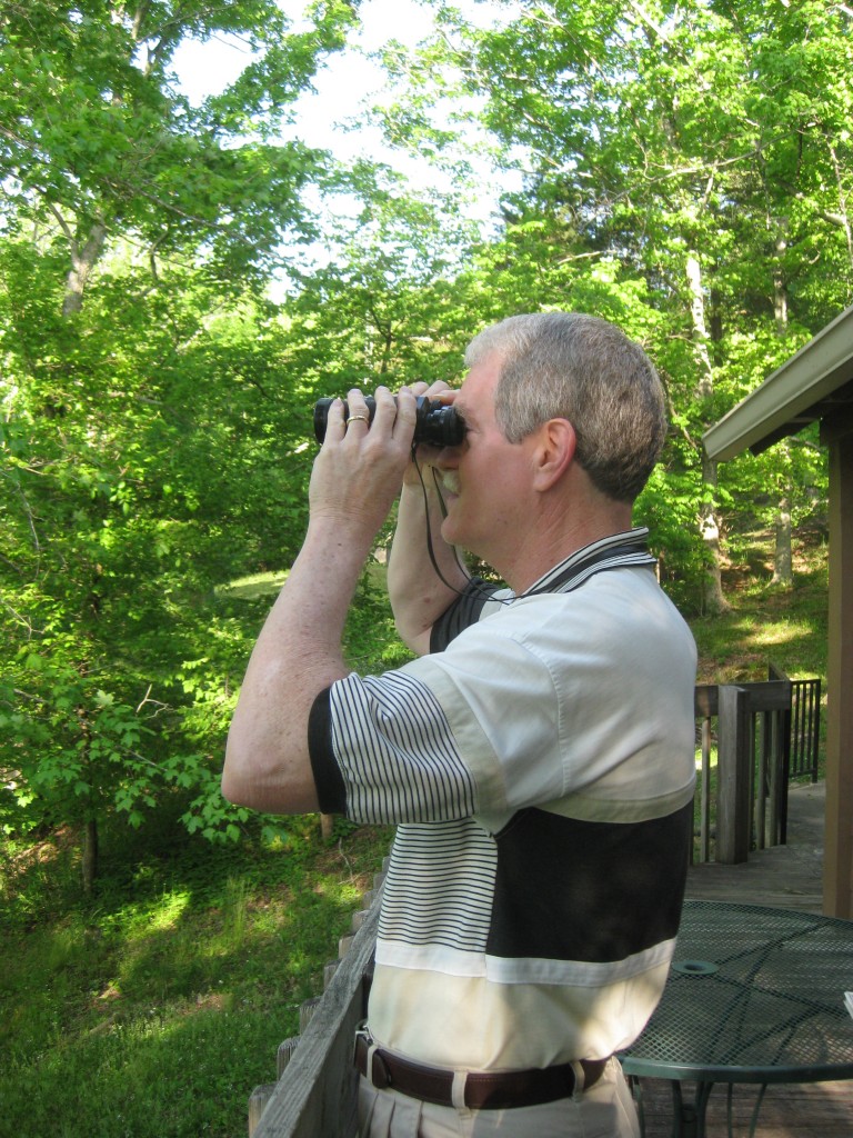 Birdwatching from the cabin's lakeside deck - Copyright (c) 2014 Robert D. Vickers, Jr.