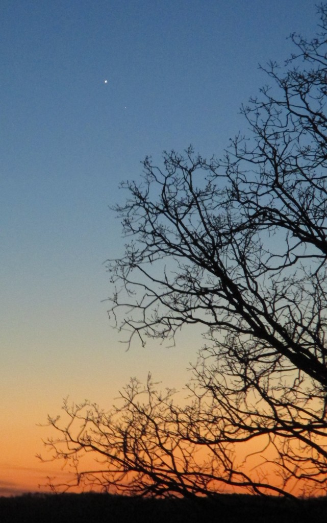 Venus & Mercury in close near conjunction 01/09/2015 1730 CST - Copyright (c) 2015 Robert D. Vickers, Jr.