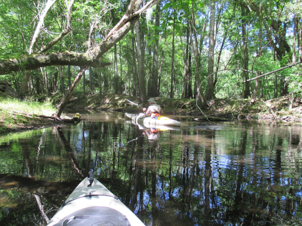 Darby Spring side channel - © Copyright 2015 Robert D. Vickers, Jr.